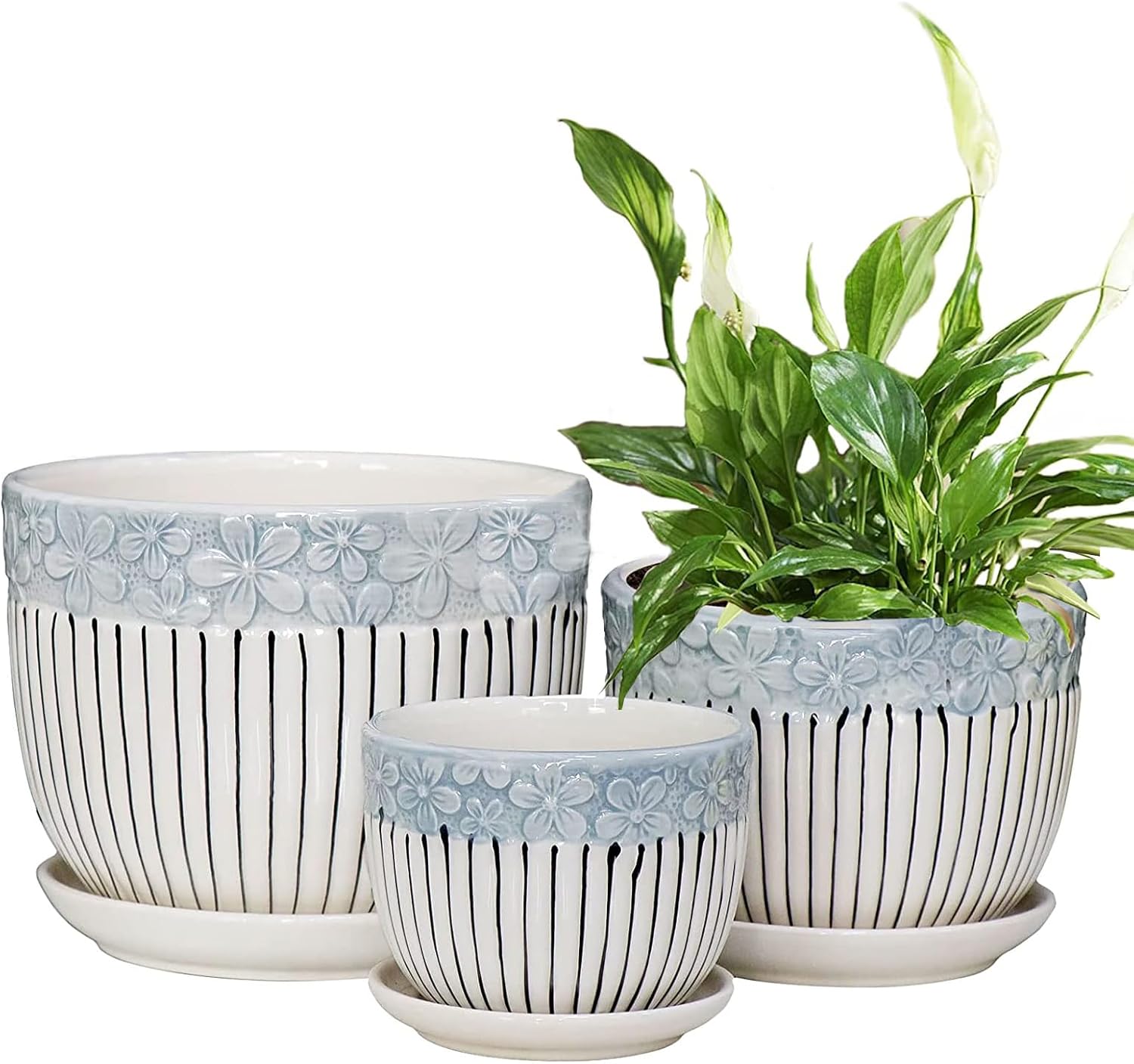 Ceramic Pots